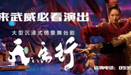 电竞-武威第十中学男子足球队挺进全国总决赛！！！！！！